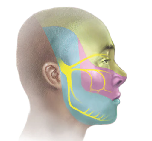 Neuralgia del trigémino